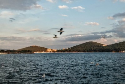 Heybeliada Seferi - Doğa Ve Kültür Yürüyüşü