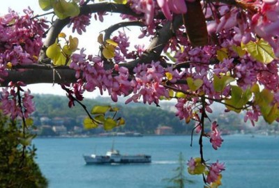 Erguvan Zamanı Yalılar ve Boğaz Turu