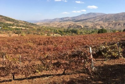 Elazığ Bağbozumu ve Malatya Gezisi