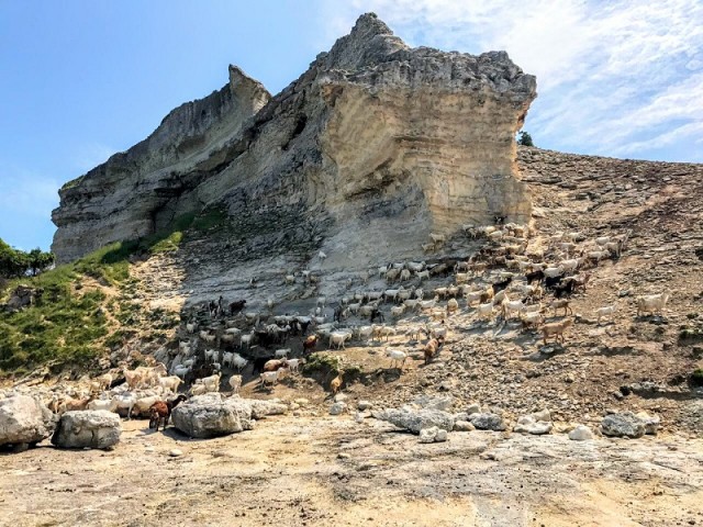 Kıyıköy Doğa Yürüyüşü - Trekking ve Yüzme Turu