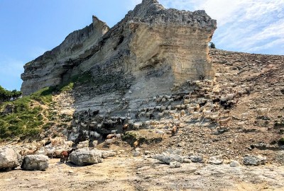 Kıyıköy Doğa Yürüyüşü - Trekking ve Yüzme Turu