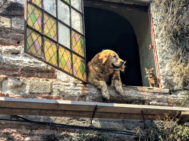 Fener Balat Ayvansaray Gezisi