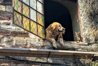 Fener Balat Ayvansaray Gezisi