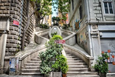 Galata Karaköy Yahudi Mirası Gezisi - Azınlık Yapıları ve Tarihi